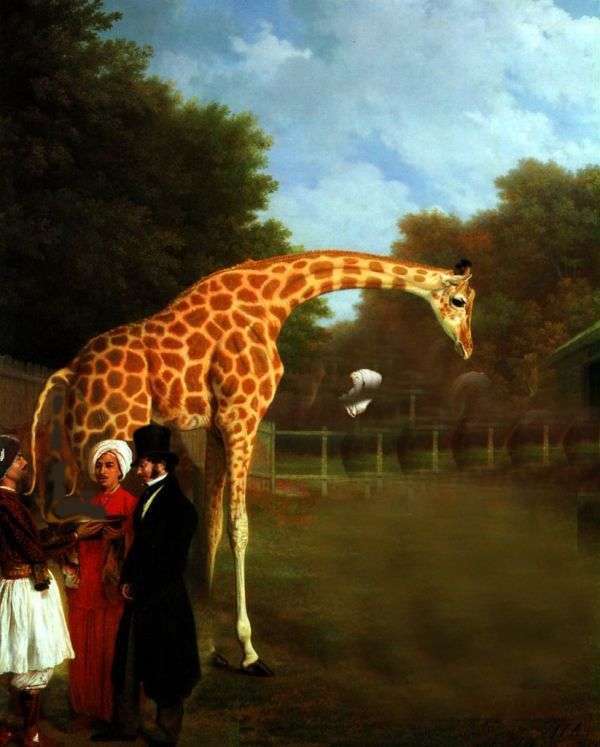 Жирафная фотожаба (46 малюнків)