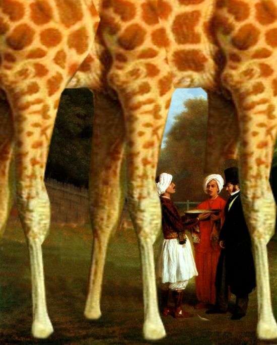 Жирафная фотожаба (46 малюнків)