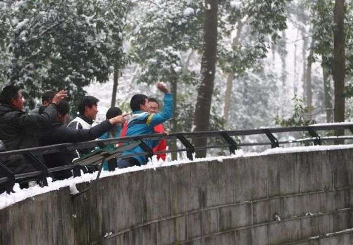 Нова забава у китайському зоопарку (6 фото)