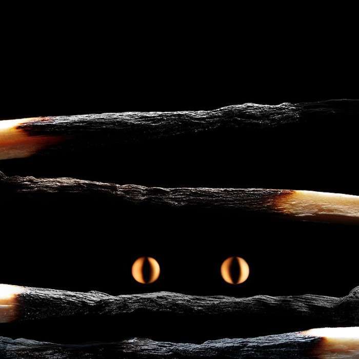 Мистецтво спалених сірників у творчості Станіслава Арістова (25 фото)