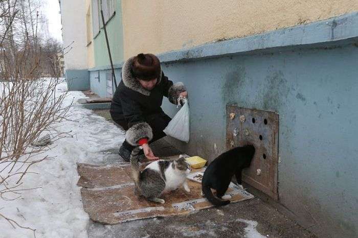 Комунальна служба Мінська ховає котів живцем (8 фото)