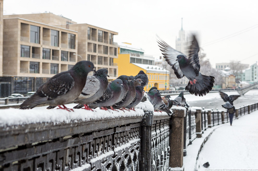 Прогулка по Москве после снегопада пейзажи