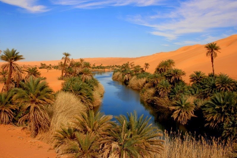 Солёные озёра Убари – удивительные оазисы посреди огромной Сахары автотуризм