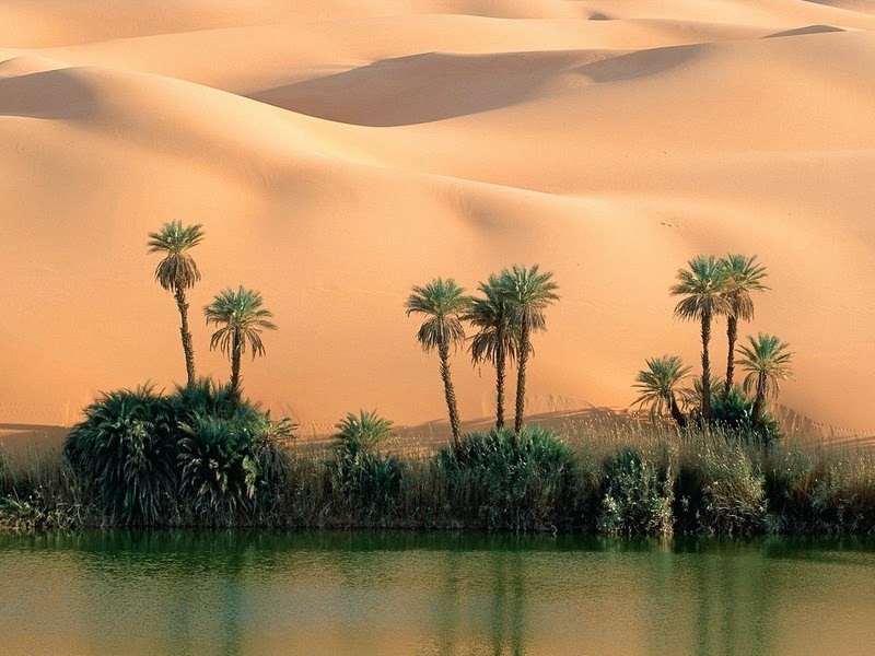 Солёные озёра Убари – удивительные оазисы посреди огромной Сахары автотуризм