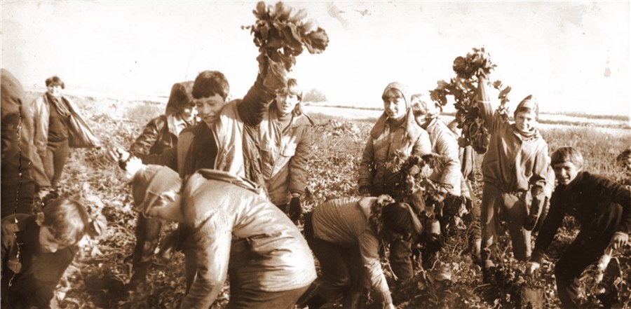 СССР: романтика поездок «на картошку» Дальние дали