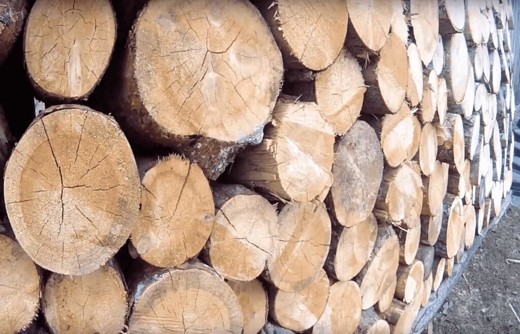 Як вибрати дрова - Сортіс смішні приколи