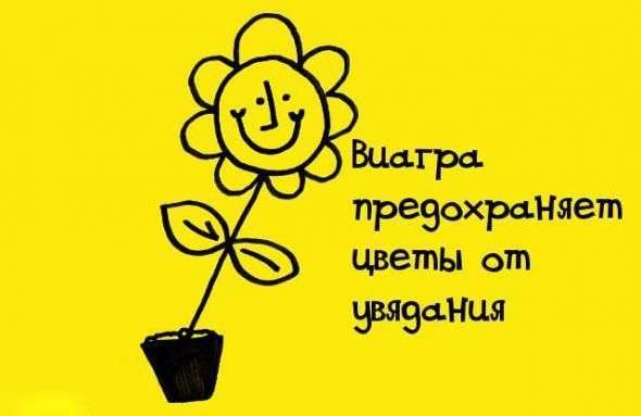 Пізнавальні факти про все на світі (38 фото)