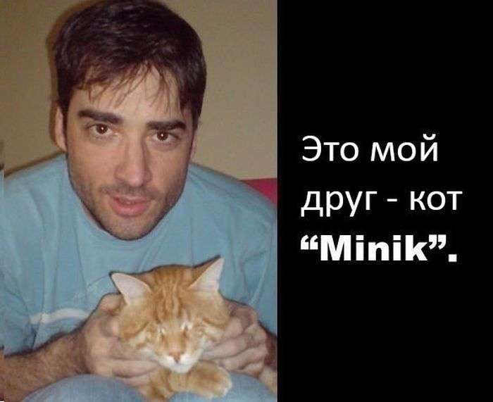 Сумна історія щасливого кота (9 фото)