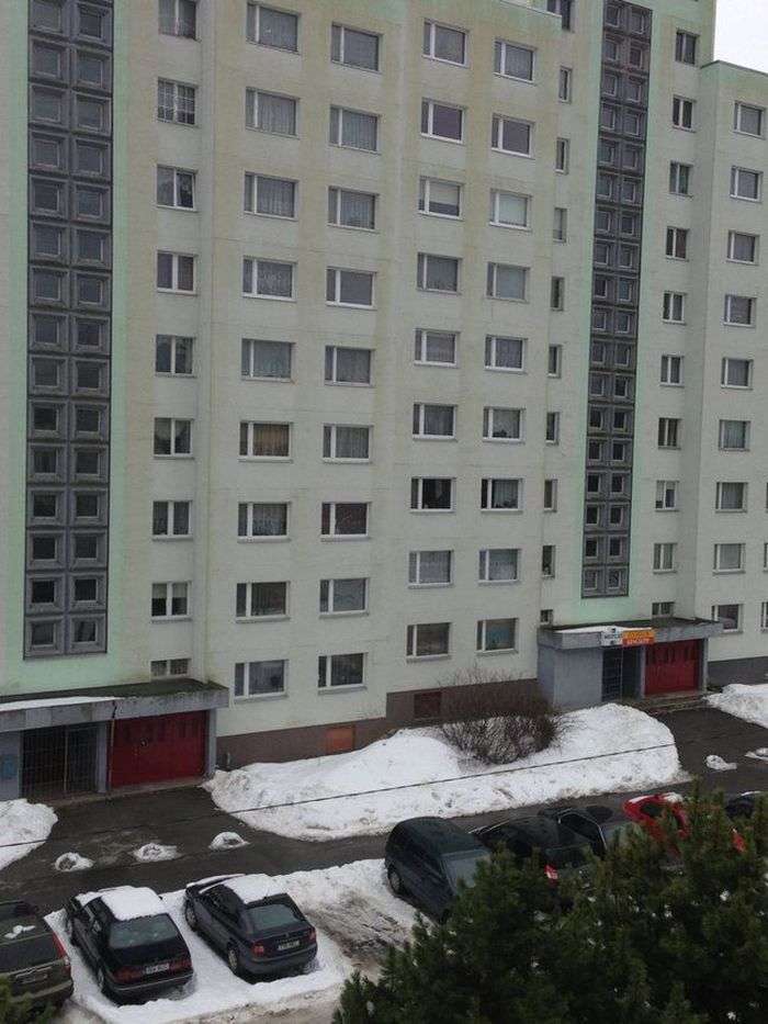 Політ пяного джмеля з восьмого поверху (5 фото)