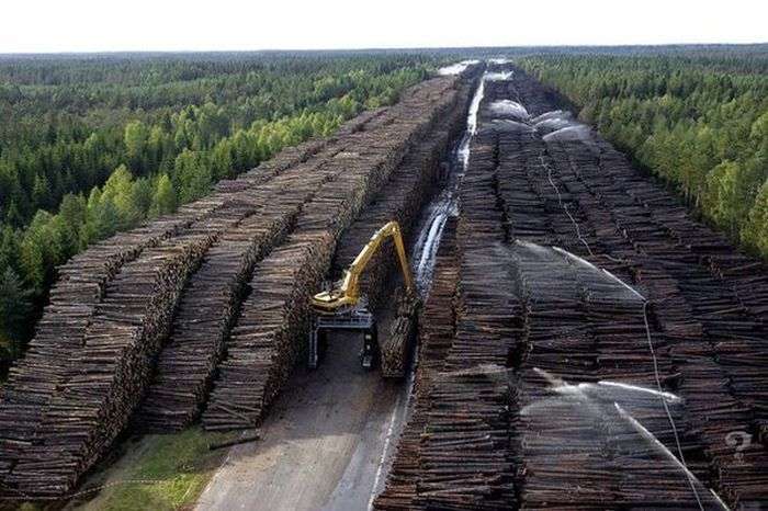 Що зруйнував людина на Землі за останні 50 років (6 фото)