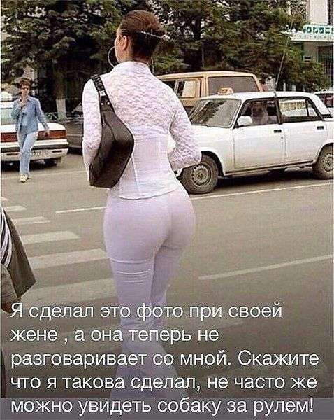 На въезде в Одессу патрульный останавливает авто: — Почему нарушаете?… Юмор,картинки приколы,приколы,приколы 2019,приколы про