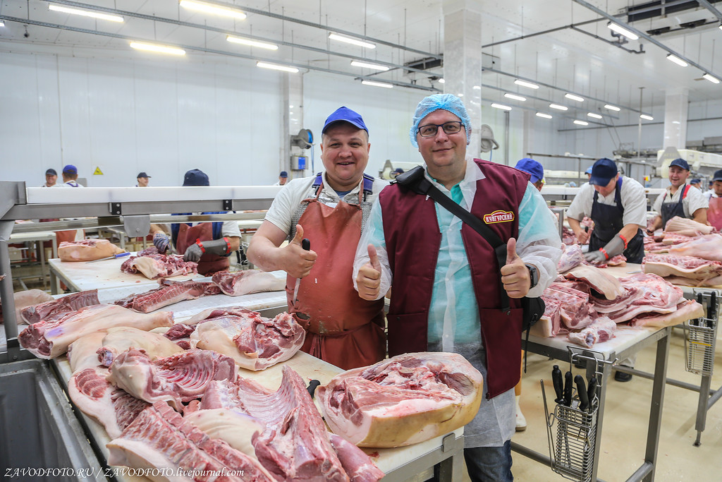 Топ-10 стран по объемам производства мяса МЯСНАЯ