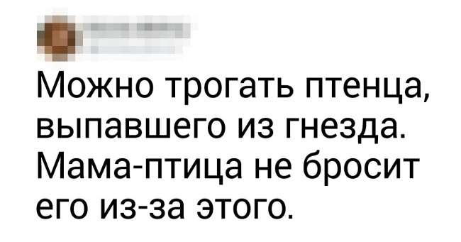 15 заблуждений, в которые верит почти каждый Интересное