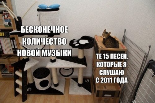 Смешные анекдоты для старта недели mir-interes.info