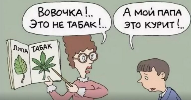 У моей знакомой сын — настоящее воплощение Вовочки из анекдотов 