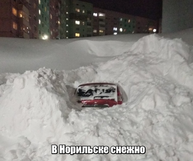 Подборка прикольных картинок смешные картинки