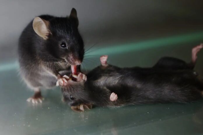 671739f7-9ec0-4cee-a8b1-981b85bae552