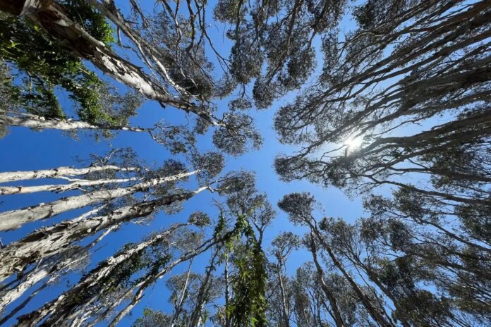 1566fa11-1b71-4788-82f4-9caf98cf1186