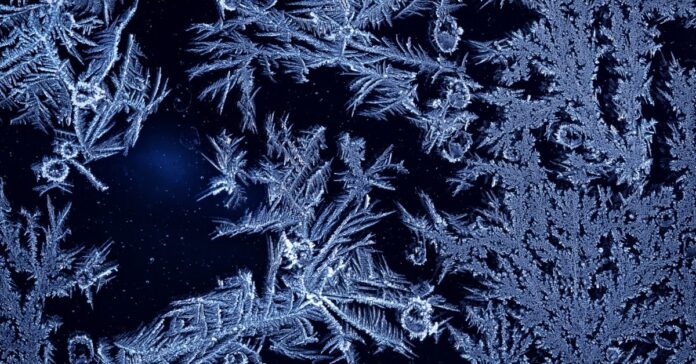 36b46367-b8a1-45fa-aa80-af806933336d