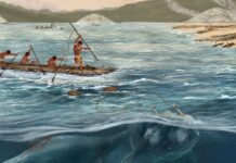 Стародавній китобійний промисел переписує історію: докази 5000-річної практики в Бразилії