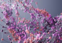 Машинне навчання прискорює розробку білків для швидкої розробки ліків та продуктів