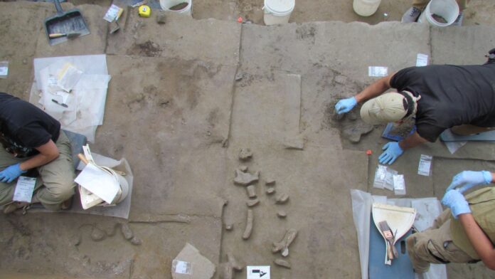 8b60dd1a-8079-49f9-b91f-fe3b1b7b71a4