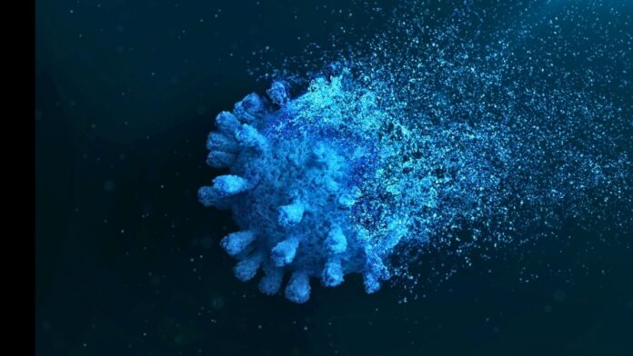 c6666745-c88a-4409-8881-47dabf2cddf6