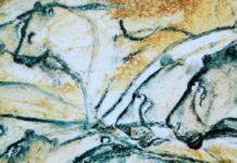 Печерні Леви Колись мешкали в Японії: Генетичне Дослідження Розкриває Дивовижну Історію Плейстоцену