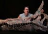 Нове Відкриття Spinosaurus Переписує Розуміння Середовища Проживання Динозаврів