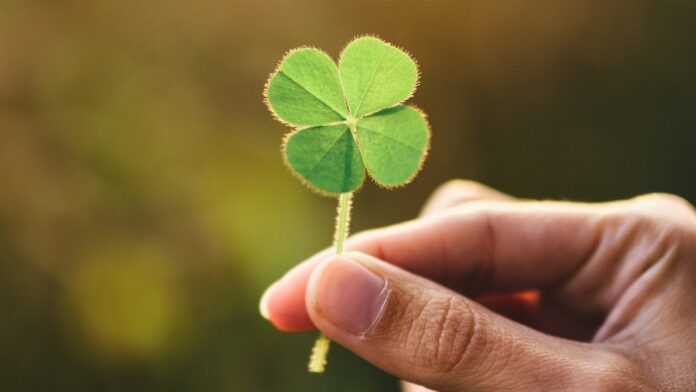 0f95b5e2-362b-4ac6-b13e-387512a64d3f