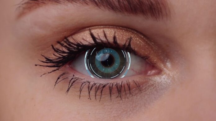 25d8871e-adb0-40a4-9540-02badec198bf