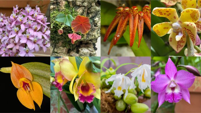 4ab24930-b69b-4422-a601-63e1e7224619