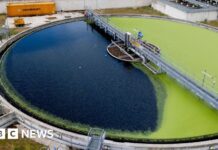 Скидання Стічних Вод в Англії Зменшилися вдвічі в 2025 році, але Головна Причина – Посушлива Погода