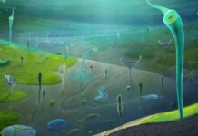 Найдавніші Копали Переносять Початок Життя Складних Тварин