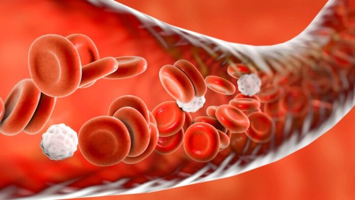 49d9ecda-d8b0-465d-b2ae-1aab02733c2f