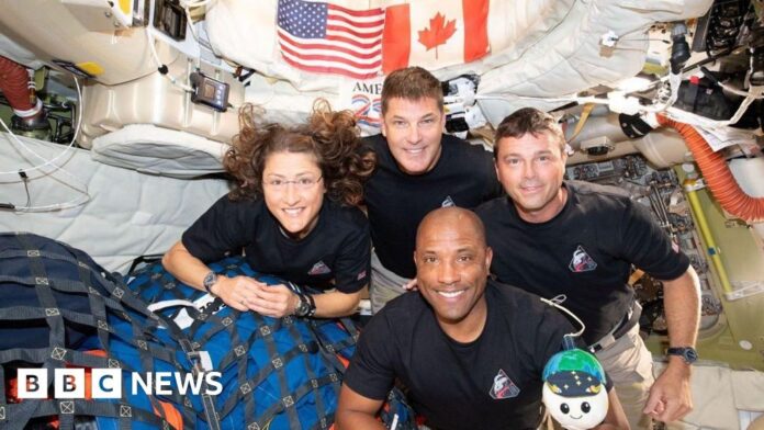 61f334c8-073e-409c-8070-31a82b0df80c