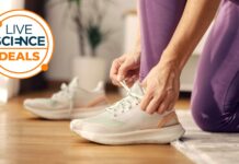 Весняні Розпродажі Бігового Взуття: Кращі Пропозиції від Марифонця