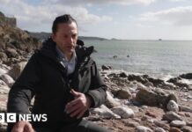 Зміна погодних умов загрожує морським екосистемам на південному заході Англії