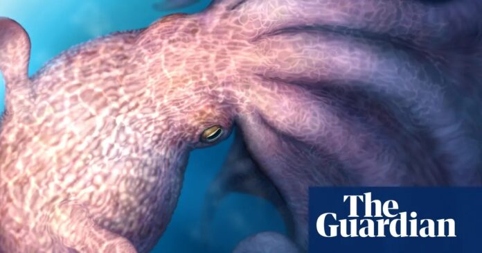 c5826505-3f39-40e9-9b66-437b40a575ea