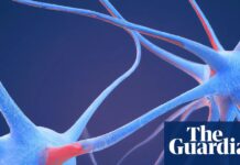 Загальний «нейронний відбиток»: як психоделики змінюють зв’язки у мозку