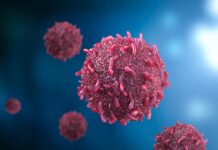 Neues Molekül resensibilisiert arzneimittelresistenten Krebs, indem es die DNA-Reparatur stört