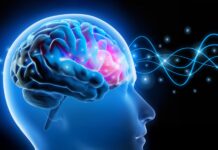 Przywracanie mózgowi połączeń: rewolucja w neurobiologii