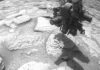 Ровер Curiosity випадково вирвав з коренем цілий камінь на Марсі: безпрецедентний випадок