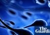 Die Luft, die Sie atmen, könnte Ihre Spermien-DNA neu schreiben