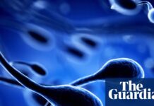 Die Luft, die Sie atmen, könnte Ihre Spermien-DNA neu schreiben