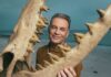 Кріс Пакхем готовий померти заради тиранозавра 🦖