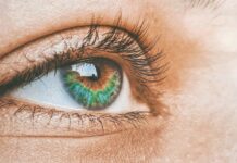 Guidare le nanoparticelle nella parte posteriore dell’occhio: un nuovo modo di trattare le malattie della retina